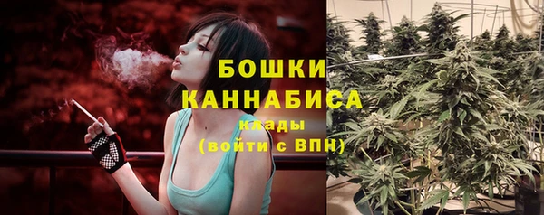 мет Нефтекумск