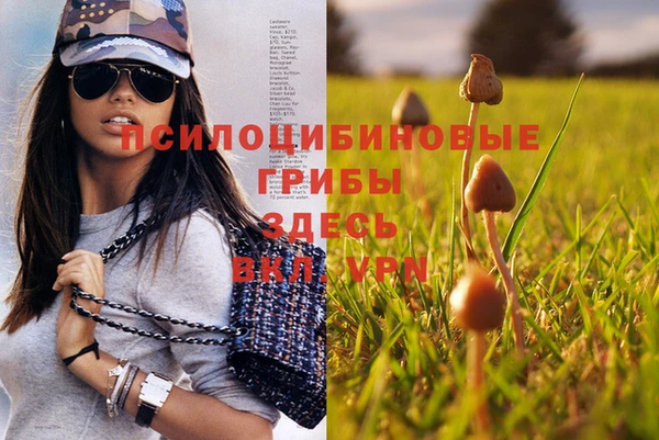 PSILOCYBIN Нея