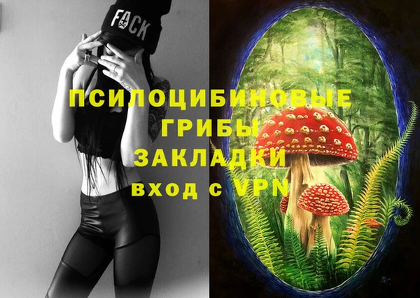 PSILOCYBIN Нея