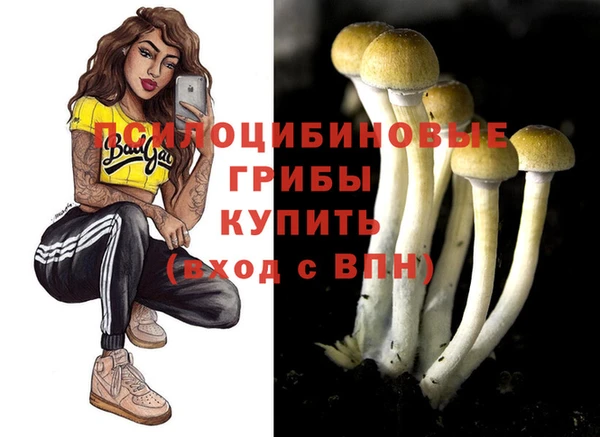 PSILOCYBIN Нея