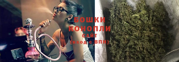 PSILOCYBIN Нея